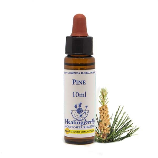 Pine Healing Herbs- 10mL